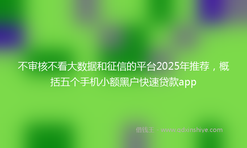 不审核不看大数据和征信的平台2025年推荐，概括五个手机小额黑户快速贷款app