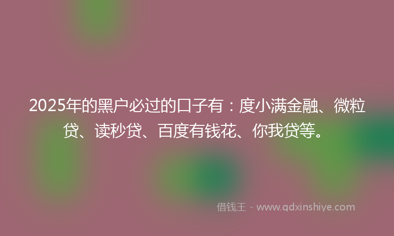 2025年的黑户必过的口子有：度小满金融、微粒贷、读秒贷、百度有钱花、你我贷等。