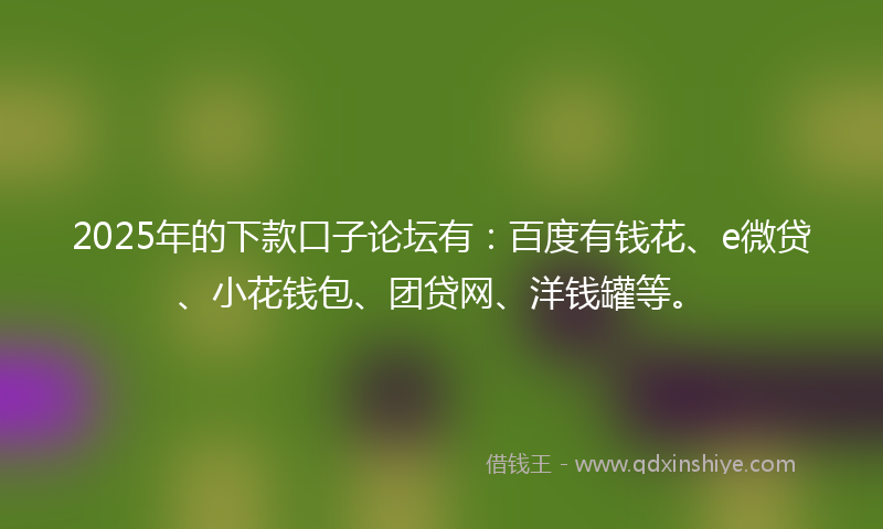 2025年的下款口子论坛有：百度有钱花、e微贷、小花钱包、团贷网、洋钱罐等。