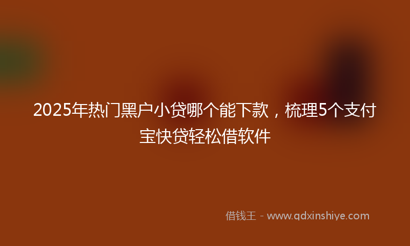 2025年热门黑户小贷哪个能下款，梳理5个支付宝快贷轻松借软件