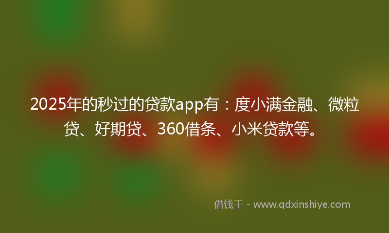 2025年的秒过的贷款app有：度小满金融、微粒贷、好期贷、360借条、小米贷款等。