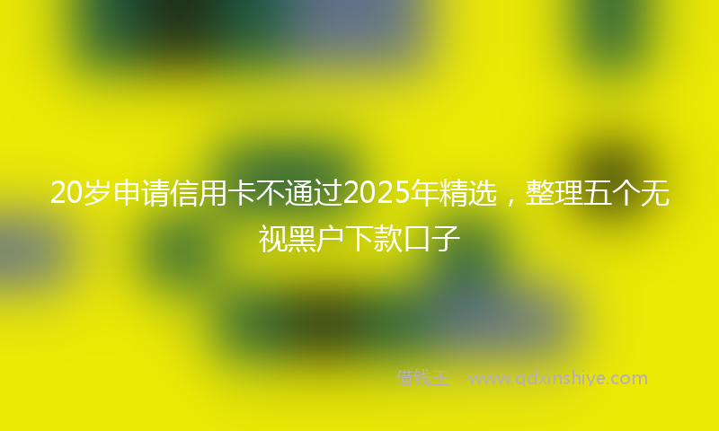 20岁申请信用卡不通过2025年精选，整理五个无视黑户下款口子