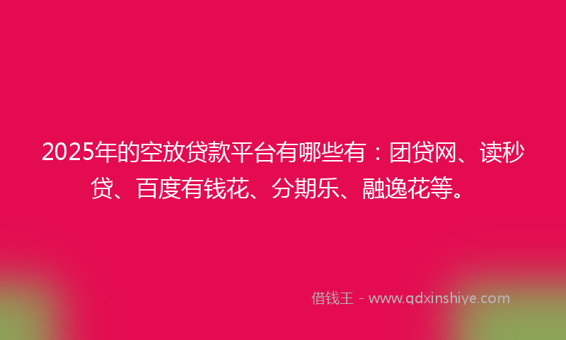 2025年的空放贷款平台有哪些有：团贷网、读秒贷、百度有钱花、分期乐、融逸花等。