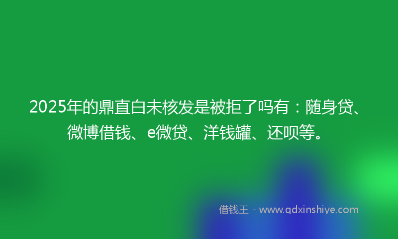 2025年的鼎直白未核发是被拒了吗有:随身贷、微博借钱、e微贷、洋钱罐、还呗等。