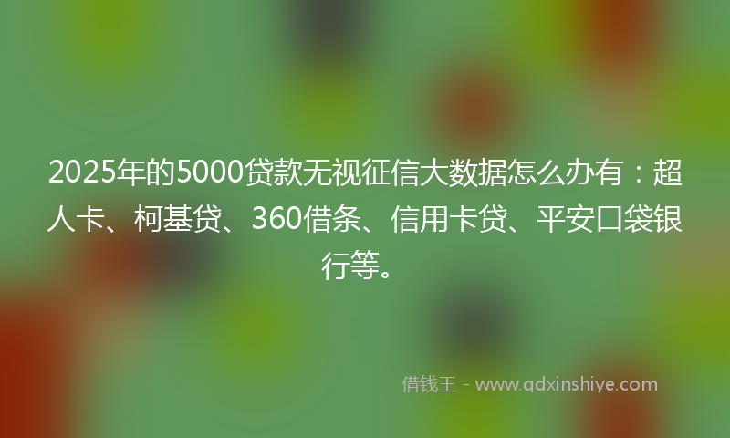 2025年的5000贷款无视征信大数据怎么办有:超人卡、柯基贷、360借条、信用卡贷、平安口袋银行等。