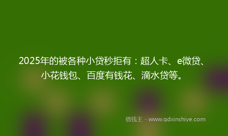 2025年的被各种小贷秒拒有：超人卡、e微贷、小花钱包、百度有钱花、滴水贷等。