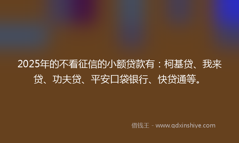 2025年的不看征信的小额贷款有：柯基贷、我来贷、功夫贷、平安口袋银行、快贷通等。