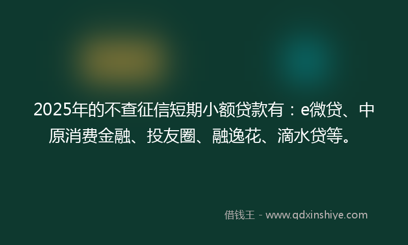 2025年的不查征信短期小额贷款有：e微贷、中原消费金融、投友圈、融逸花、滴水贷等。
