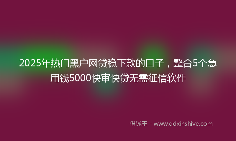 2025年热门黑户网贷稳下款的口子，整合5个急用钱5000快审快贷无需征信软件