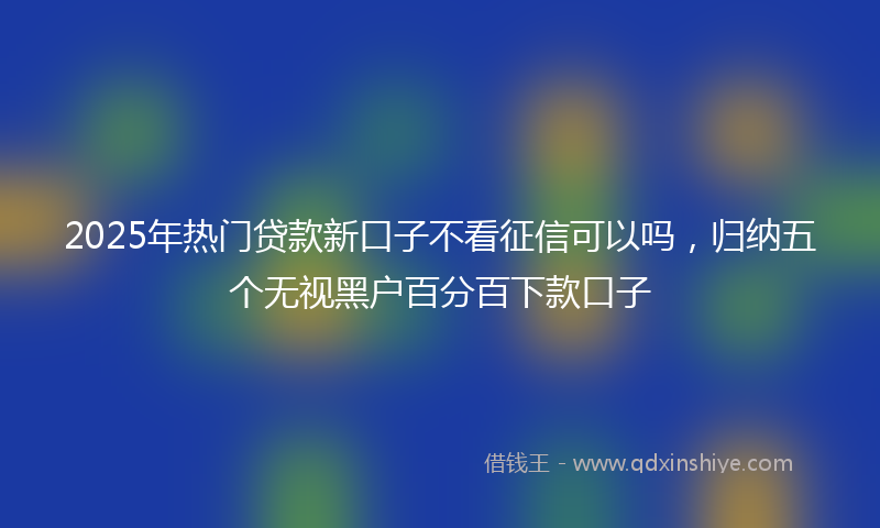 2025年热门贷款新口子不看征信可以吗，归纳五个无视黑户百分百下款口子