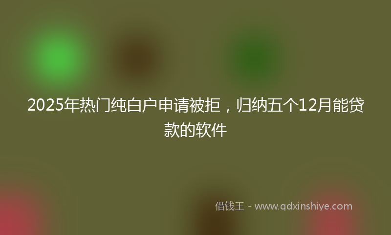 2025年热门纯白户申请被拒，归纳五个12月能贷款的软件