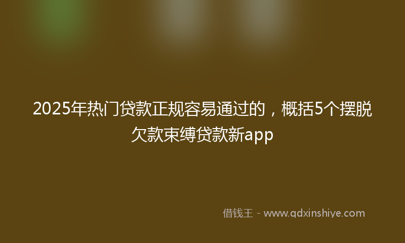 2025年热门贷款正规容易通过的，概括5个摆脱欠款束缚贷款新app