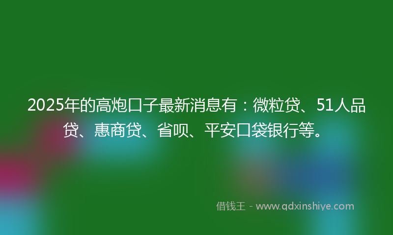 2025年的高炮口子最新消息有：微粒贷、51人品贷、惠商贷、省呗、平安口袋银行等。