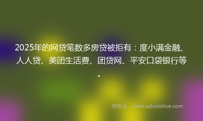 2025年的网贷笔数多房贷被拒有：度小满金融、人人贷、美团生活费、团贷网、平安口袋银行等。