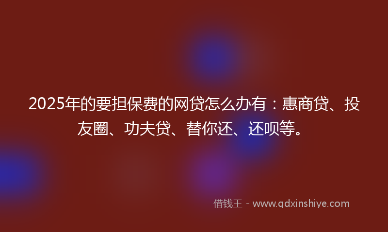 2025年的要担保费的网贷怎么办有：惠商贷、投友圈、功夫贷、替你还、还呗等。