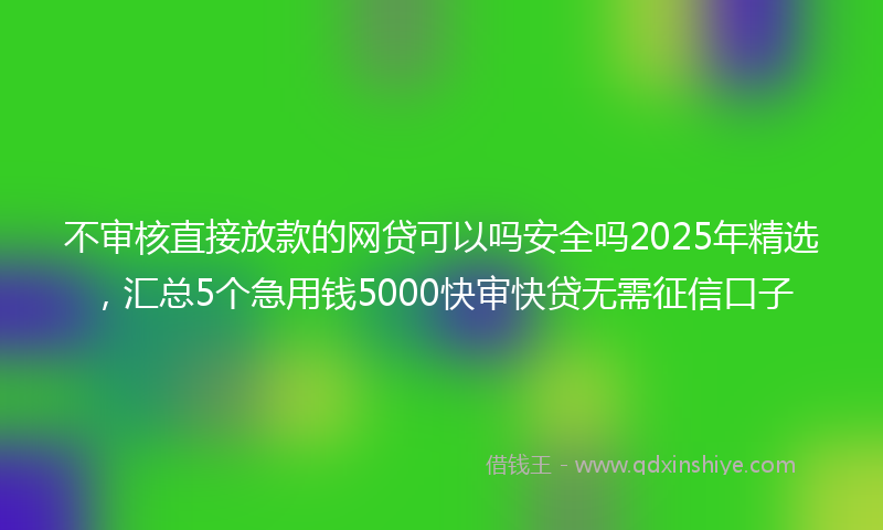 不审核直接放款的网贷可以吗安全吗2025年精选，汇总5个急用钱5000快审快贷无需征信口子