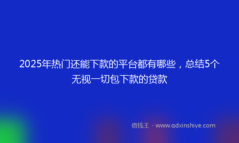 2025年热门还能下款的平台都有哪些，总结5个无视一切包下款的贷款