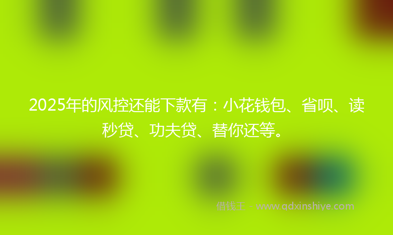 2025年的风控还能下款有：小花钱包、省呗、读秒贷、功夫贷、替你还等。