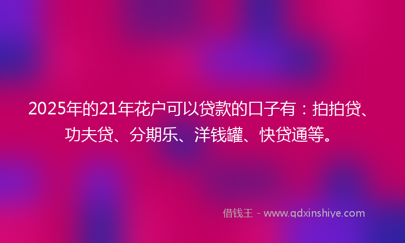 2025年的21年花户可以贷款的口子有：拍拍贷、功夫贷、分期乐、洋钱罐、快贷通等。