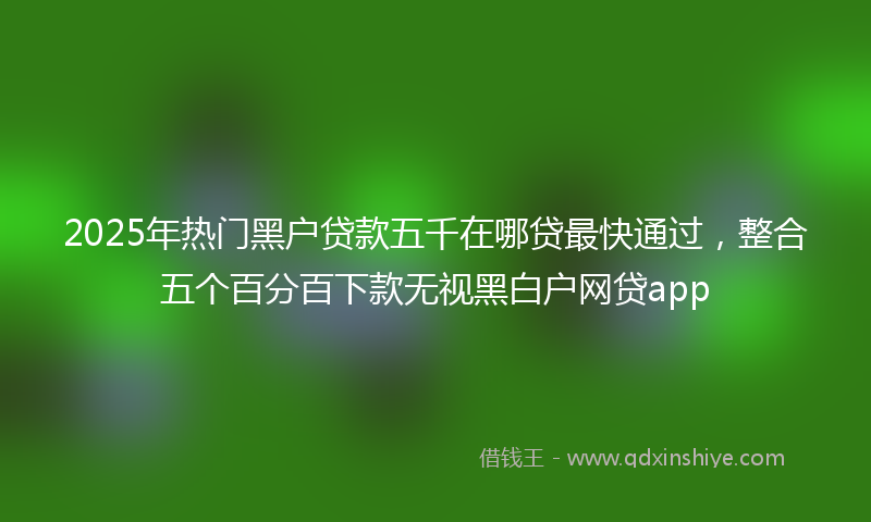2025年热门黑户贷款五千在哪贷最快通过，整合五个百分百下款无视黑白户网贷app