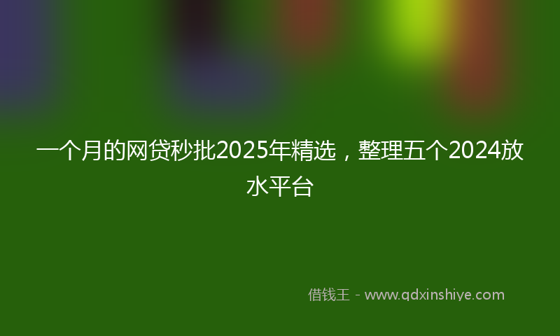 一个月的网贷秒批2025年精选，整理五个2024放水平台