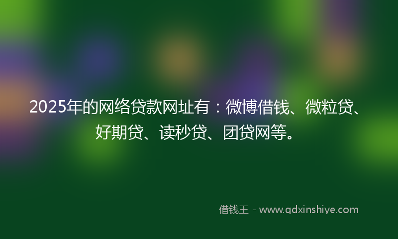 2025年的网络贷款网址有：微博借钱、微粒贷、好期贷、读秒贷、团贷网等。