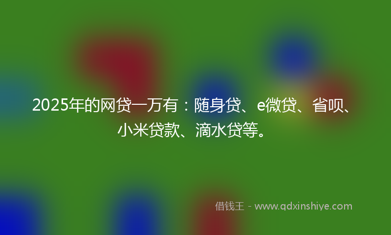 2025年的网贷一万有：随身贷、e微贷、省呗、小米贷款、滴水贷等。