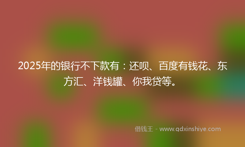 2025年的银行不下款有：还呗、百度有钱花、东方汇、洋钱罐、你我贷等。