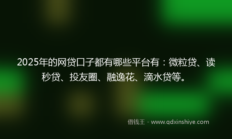 2025年的网贷口子都有哪些平台有：微粒贷、读秒贷、投友圈、融逸花、滴水贷等。
