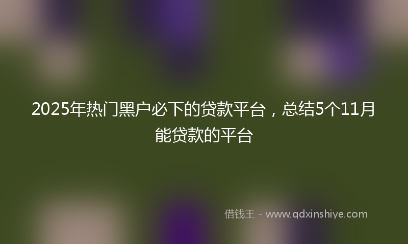 2025年热门黑户必下的贷款平台，总结5个11月能贷款的平台