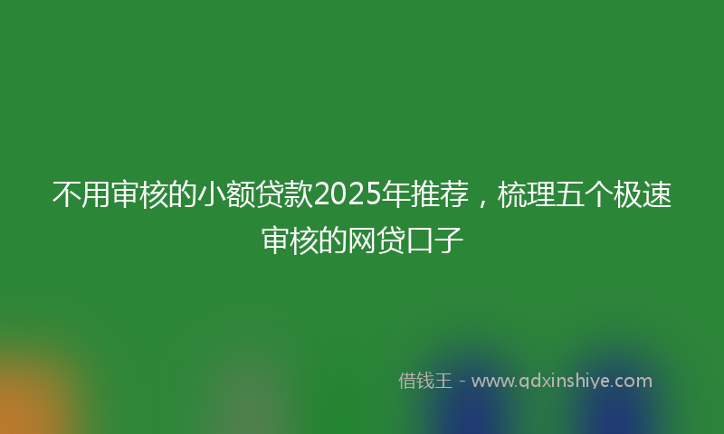 不用审核的小额贷款2025年推荐，梳理五个极速审核的网贷口子