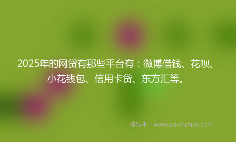 2025年的网贷有那些平台有：微博借钱、花呗、小花钱包、信用卡贷、东方汇等。