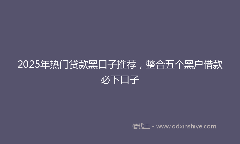 2025年热门贷款黑口子推荐，整合五个黑户借款必下口子