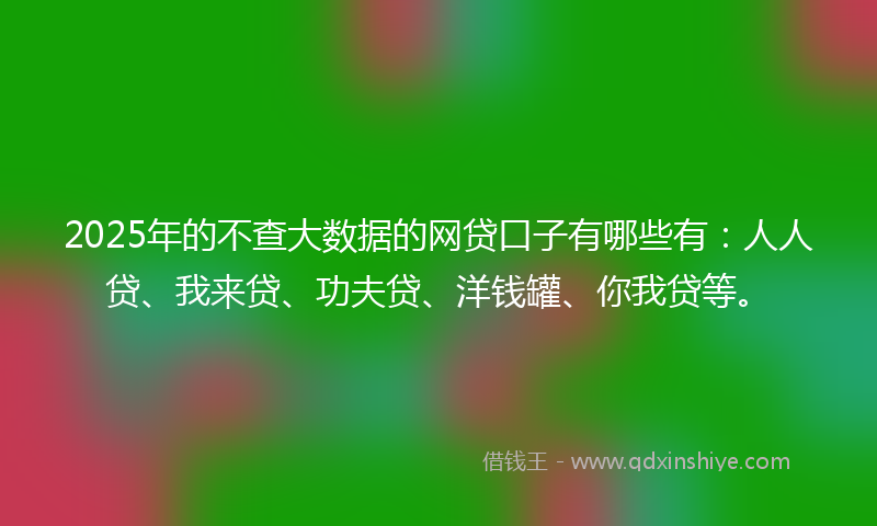 2025年的不查大数据的网贷口子有哪些有：人人贷、我来贷、功夫贷、洋钱罐、你我贷等。