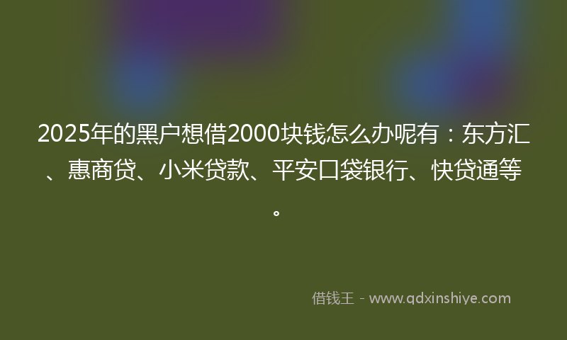 2025年的黑户想借2000块钱怎么办呢有:东方汇、惠商贷、小米贷款、平安口袋银行、快贷通等。
