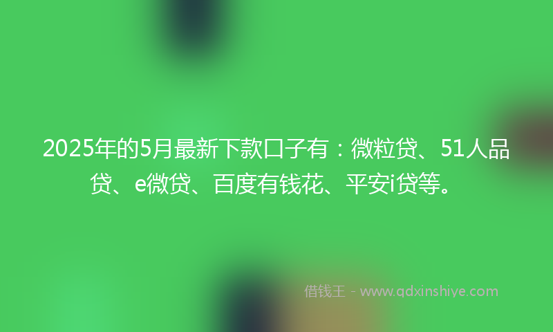 2025年的5月最新下款口子有：微粒贷、51人品贷、e微贷、百度有钱花、平安i贷等。