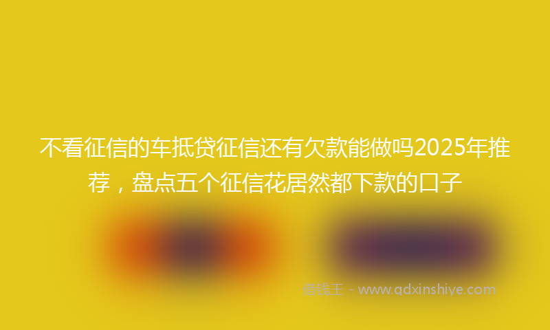 不看征信的车抵贷征信还有欠款能做吗2025年推荐，盘点五个征信花居然都下款的口子