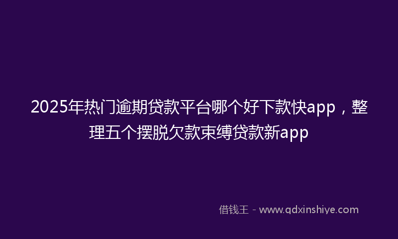 2025年热门逾期贷款平台哪个好下款快app，整理五个摆脱欠款束缚贷款新app