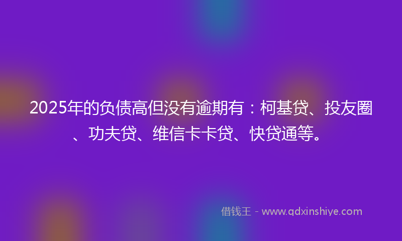2025年的负债高但没有逾期有：柯基贷、投友圈、功夫贷、维信卡卡贷、快贷通等。