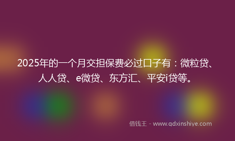 2025年的一个月交担保费必过口子有：微粒贷、人人贷、e微贷、东方汇、平安i贷等。