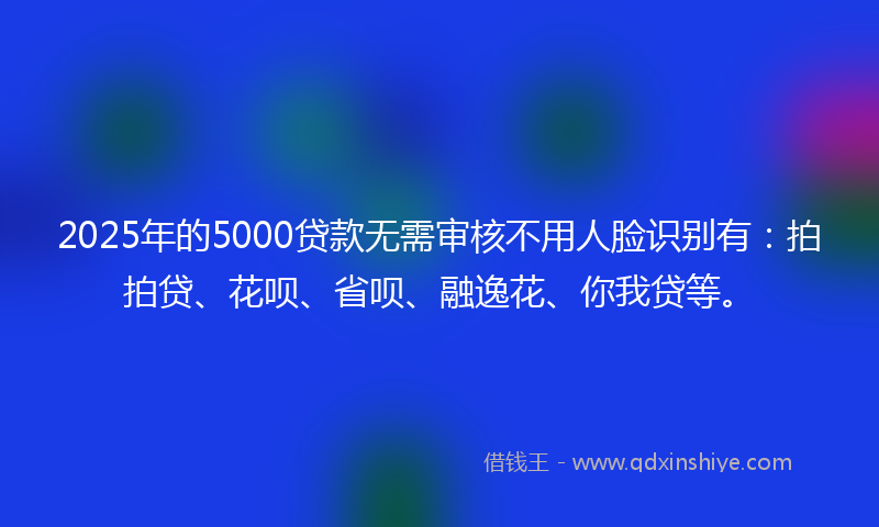 2025年的5000贷款无需审核不用人脸识别有：拍拍贷、花呗、省呗、融逸花、你我贷等。
