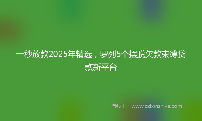 一秒放款2025年精选，罗列5个摆脱欠款束缚贷款新平台
