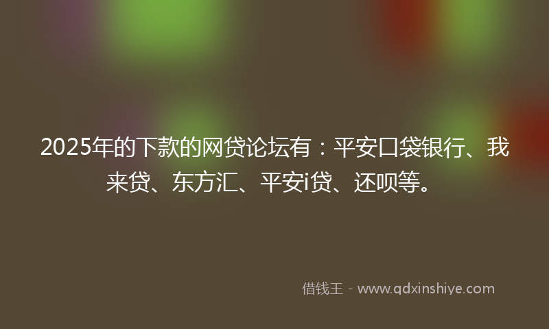 2025年的下款的网贷论坛有：平安口袋银行、我来贷、东方汇、平安i贷、还呗等。