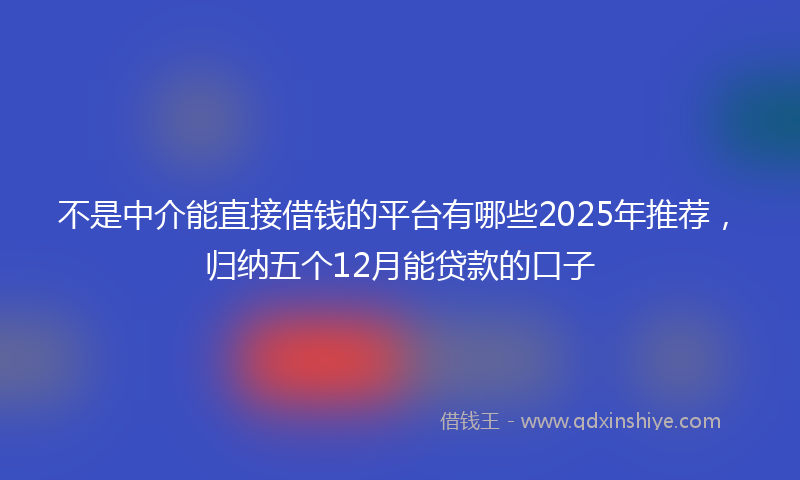 不是中介能直接借钱的平台有哪些2025年推荐，归纳五个12月能贷款的口子