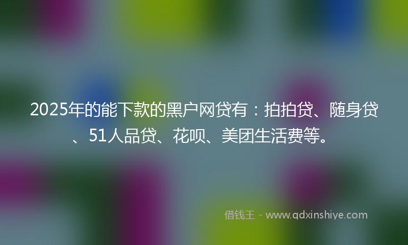 2025年的能下款的黑户网贷有：拍拍贷、随身贷、51人品贷、花呗、美团生活费等。