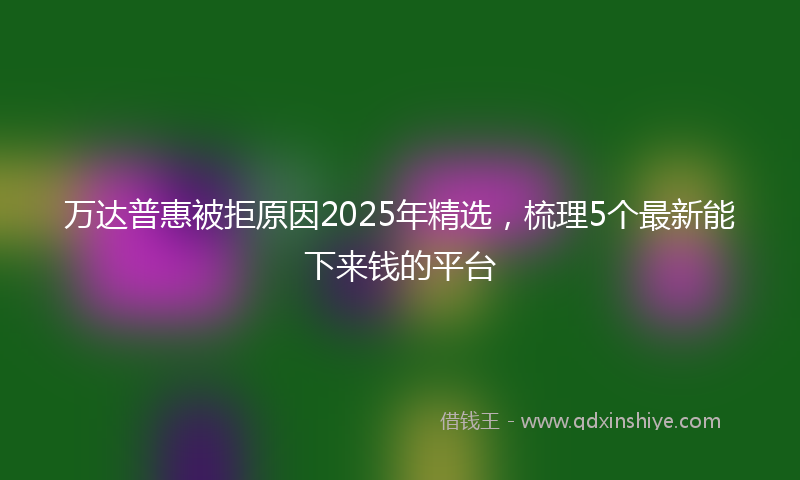 万达普惠被拒原因2025年精选，梳理5个最新能下来钱的平台