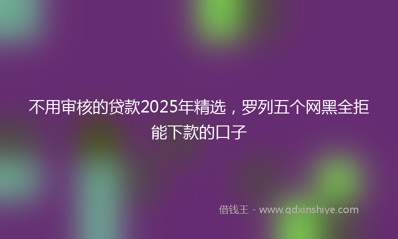 不用审核的贷款2025年精选，罗列五个网黑全拒能下款的口子