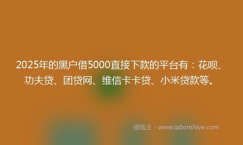 2025年的黑户借5000直接下款的平台有：花呗、功夫贷、团贷网、维信卡卡贷、小米贷款等。