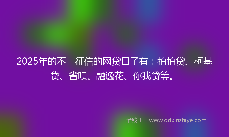 2025年的不上征信的网贷口子有：拍拍贷、柯基贷、省呗、融逸花、你我贷等。
