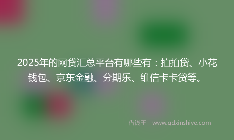 2025年的网贷汇总平台有哪些有：拍拍贷、小花钱包、京东金融、分期乐、维信卡卡贷等。